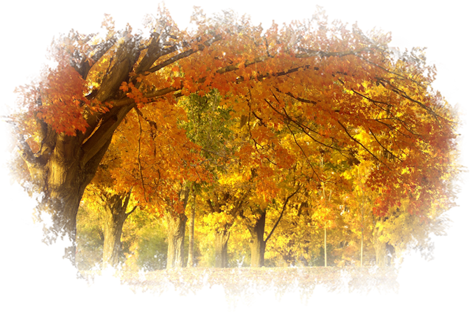 Siempre Libre & Glitters y Gifs Animados Nº366 - Página 34 Autumn-Backgrounds-1-165