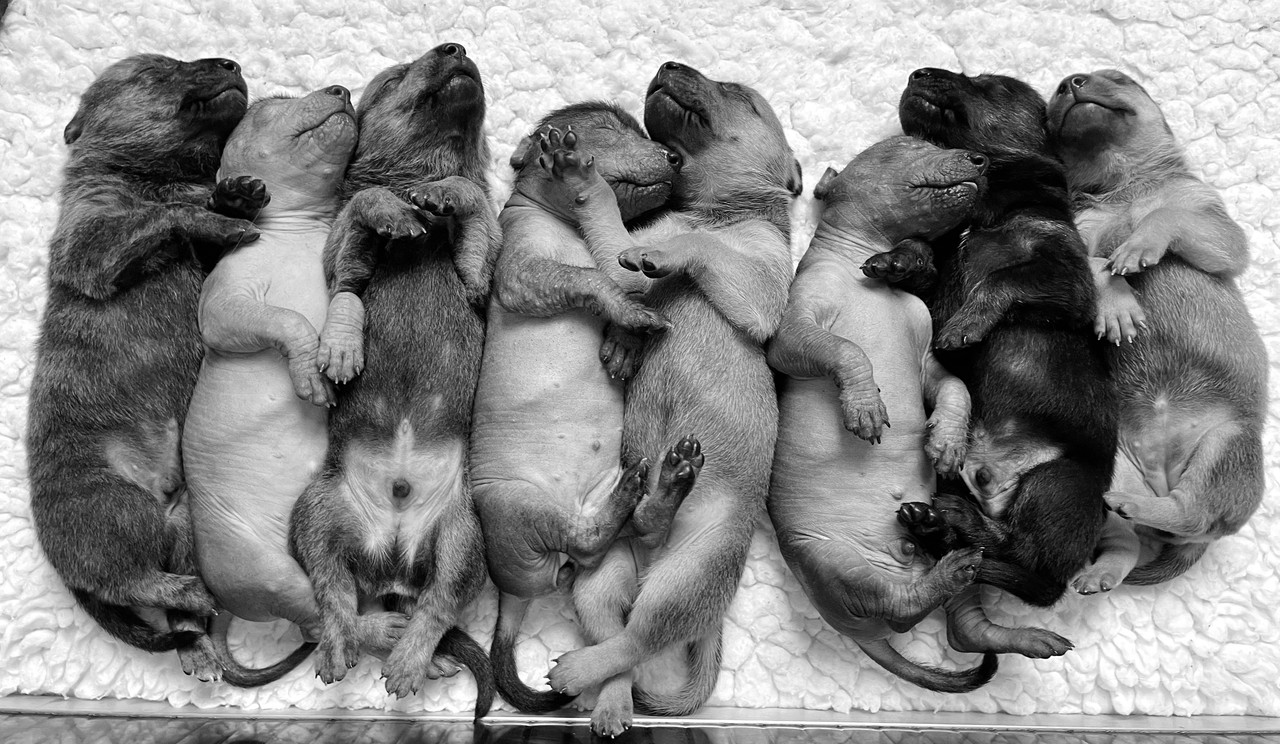 C9ABF0F5-F98A-405E-ABC1-43570EF6F028_1_201_a