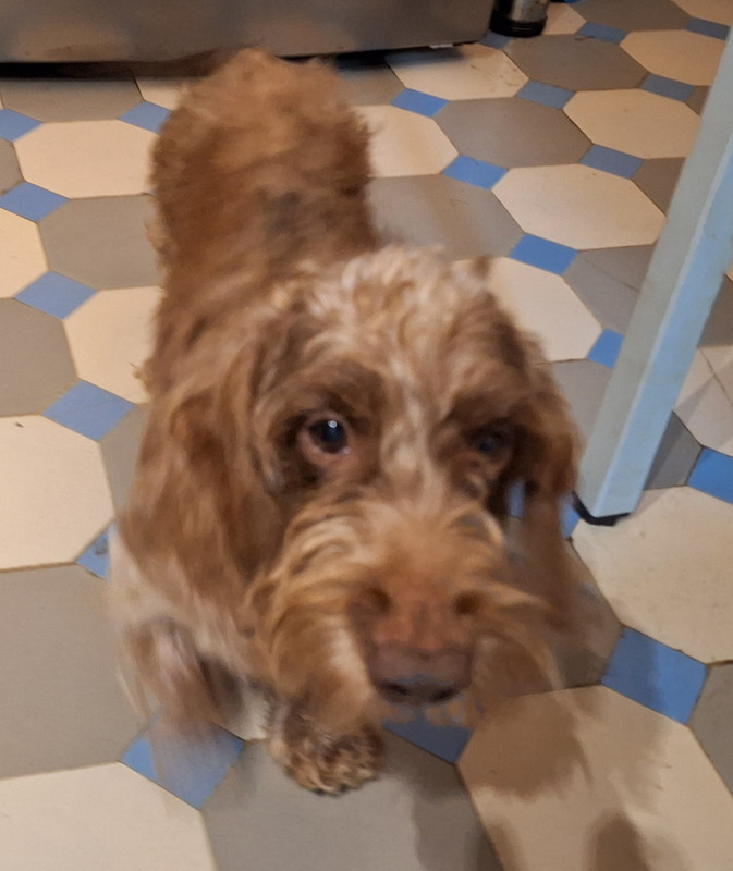 [Image: 20241030-125358.jpg]