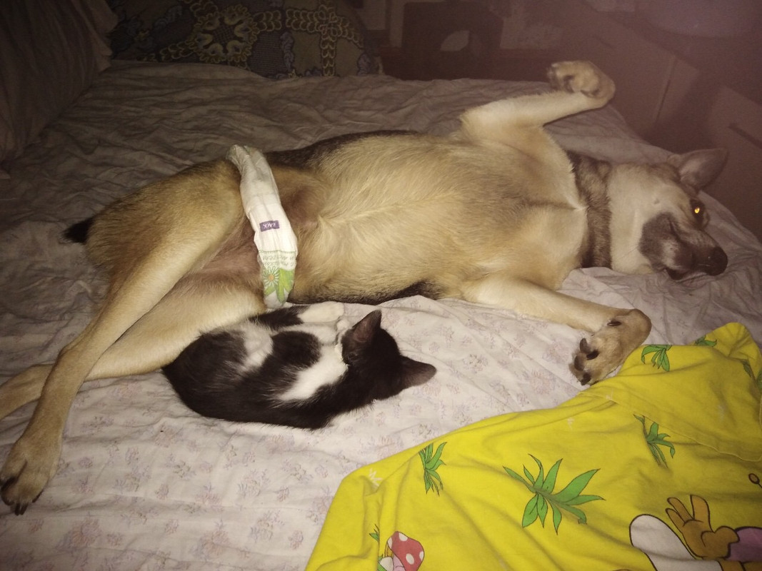 B74A481A-30A2-481B-B774-4A5E3ECFC1EA