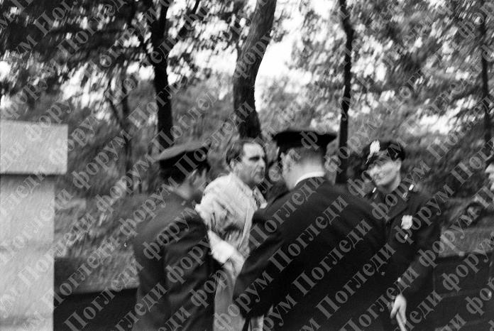 [Слика: image-5.jpg]