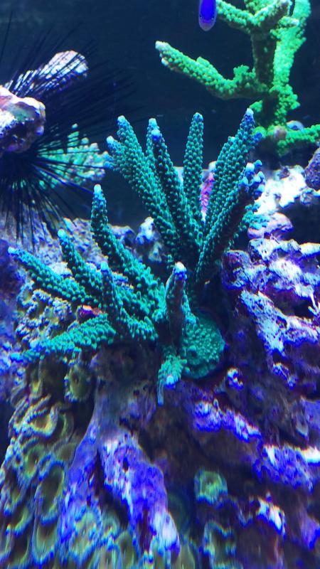 AE7BCC66-B0BF-487B-952D-AEFAC0D1762A