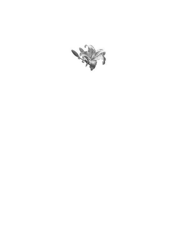 ITD000000001337067-page-0001