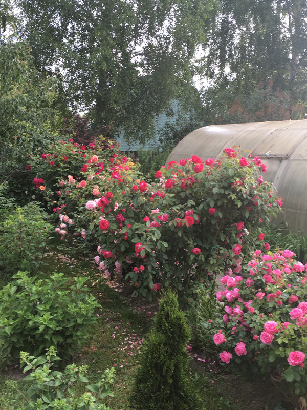 627B87B2-1464-48BE-9EB5-92EEBC7B1BD3