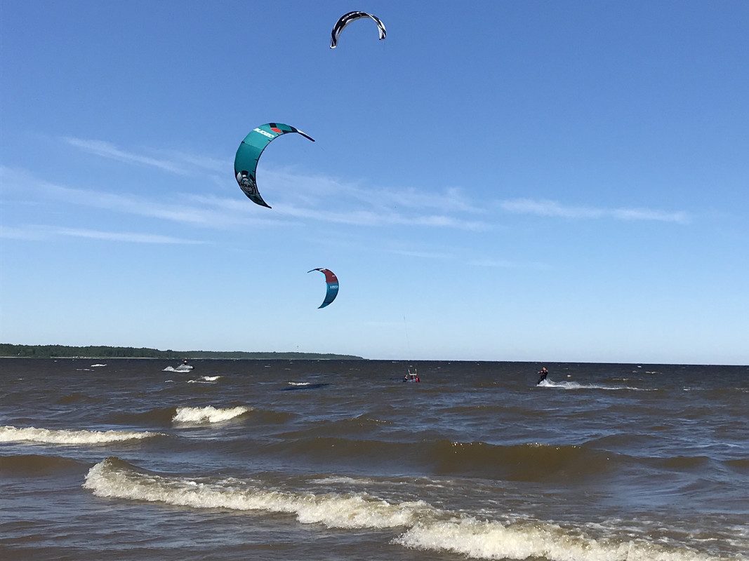 0226BEC5-7465-49C1-A8C8-F13DE399EB55_1_201_a