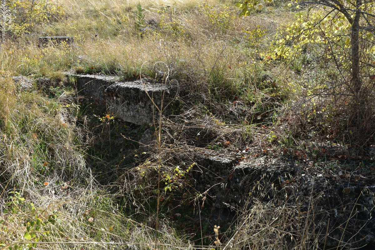 Αρχαία Αιανή (21)