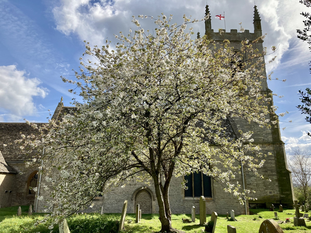 91E1597B-736D-4BE6-A57E-4A46A6E18359