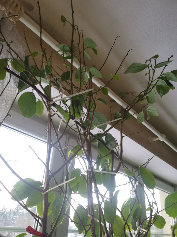 Obrázek WhatsApp, 2025-02-17 v 13.57.44_8d5cac0a