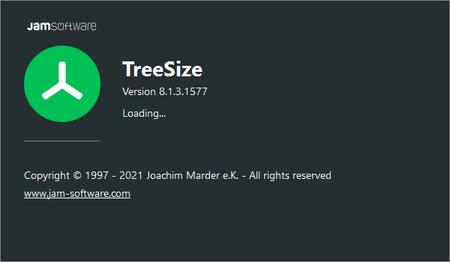 TreeSize Professional v8.1.4.1581 (x64) Multilingual + Portable