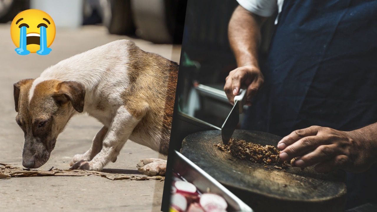 Supuesta cabeza de perro en taquería es viral y causa indignación