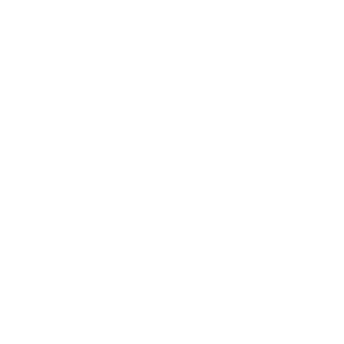 Secure Network Icon