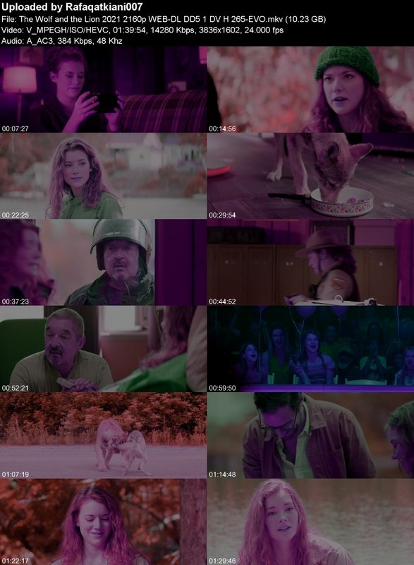 The Wolf and the Lion 2021 2160p WEB-DL DD5 1 DV H 265-EVO