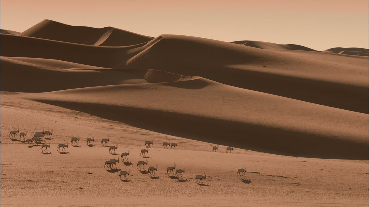 Wild Arabia (2013) - S01E01 - Sand, Wind and Stars (1080p BluRay