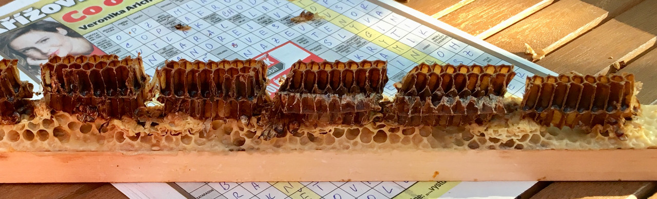 A85D235A-3576-45FC-8CB3-CB196CCA2EE3