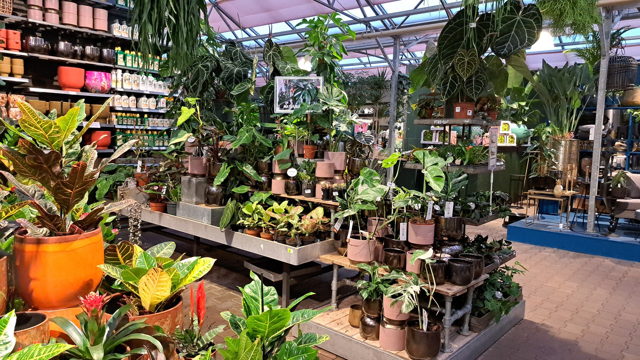 [Image: 20231012-172117.jpg]