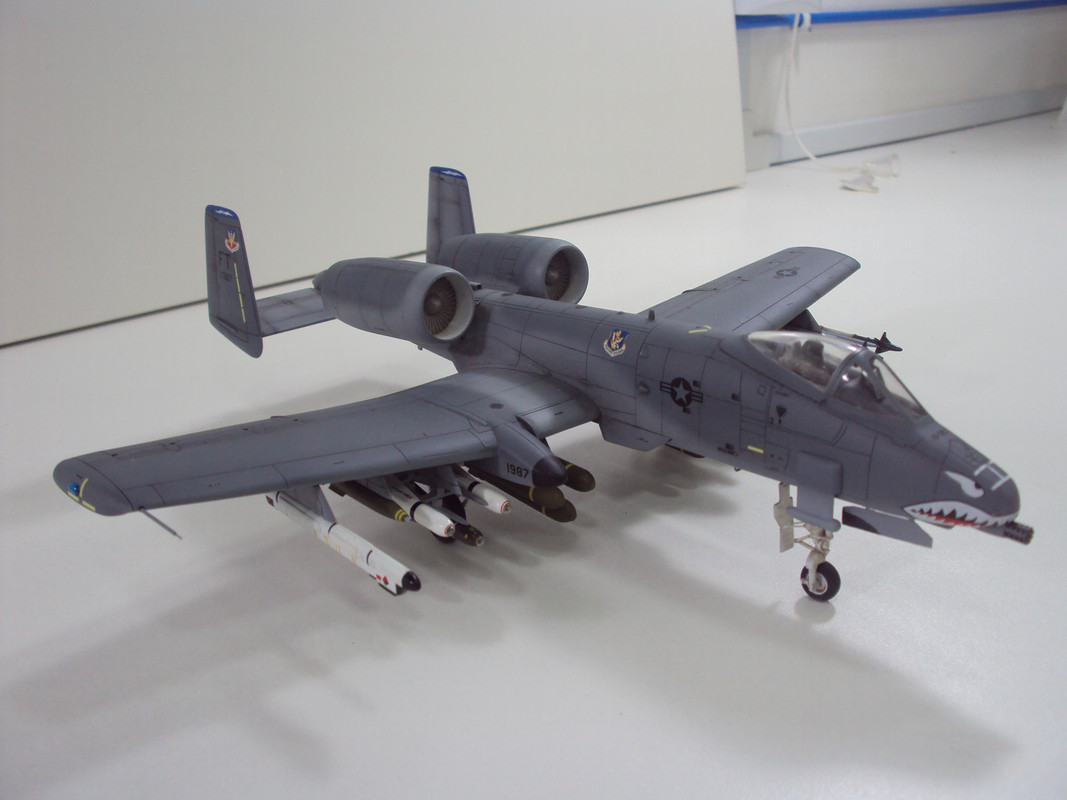 A-10A Aca 5