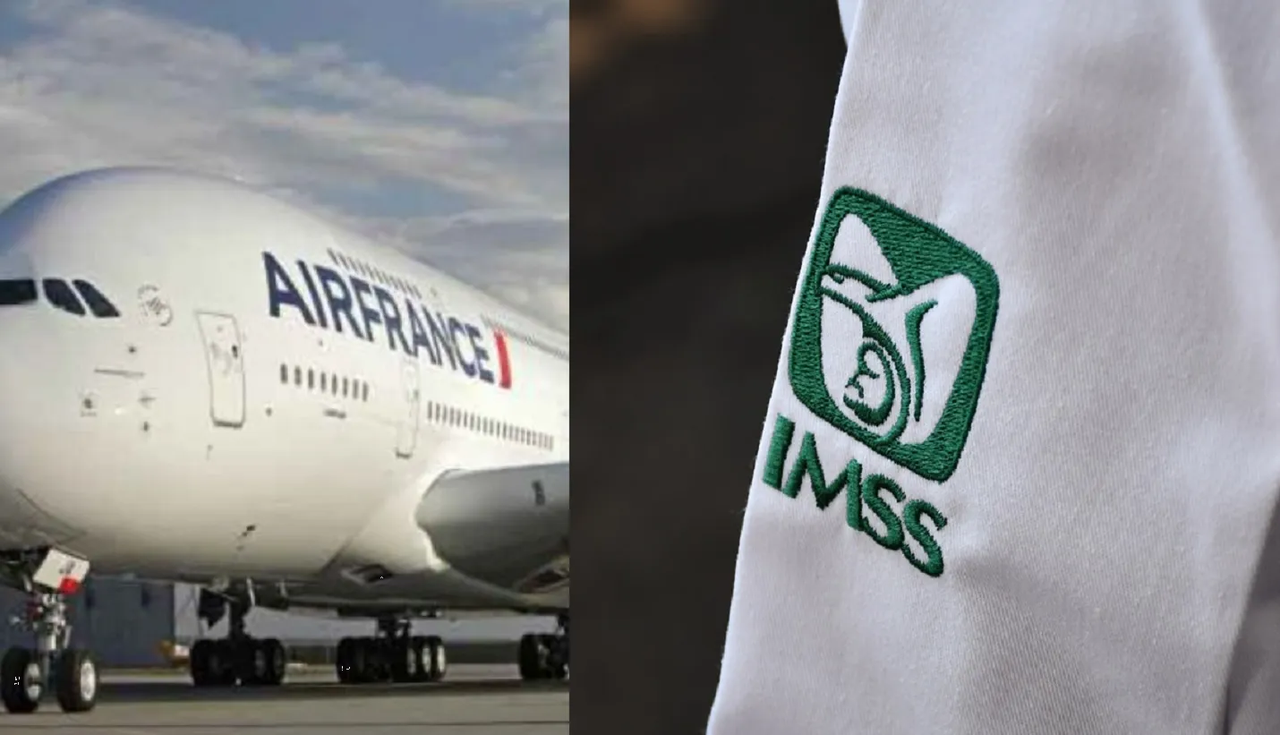 Por salvar la vida de un niño en vuelo a París, doctora del IMSS se hace viral