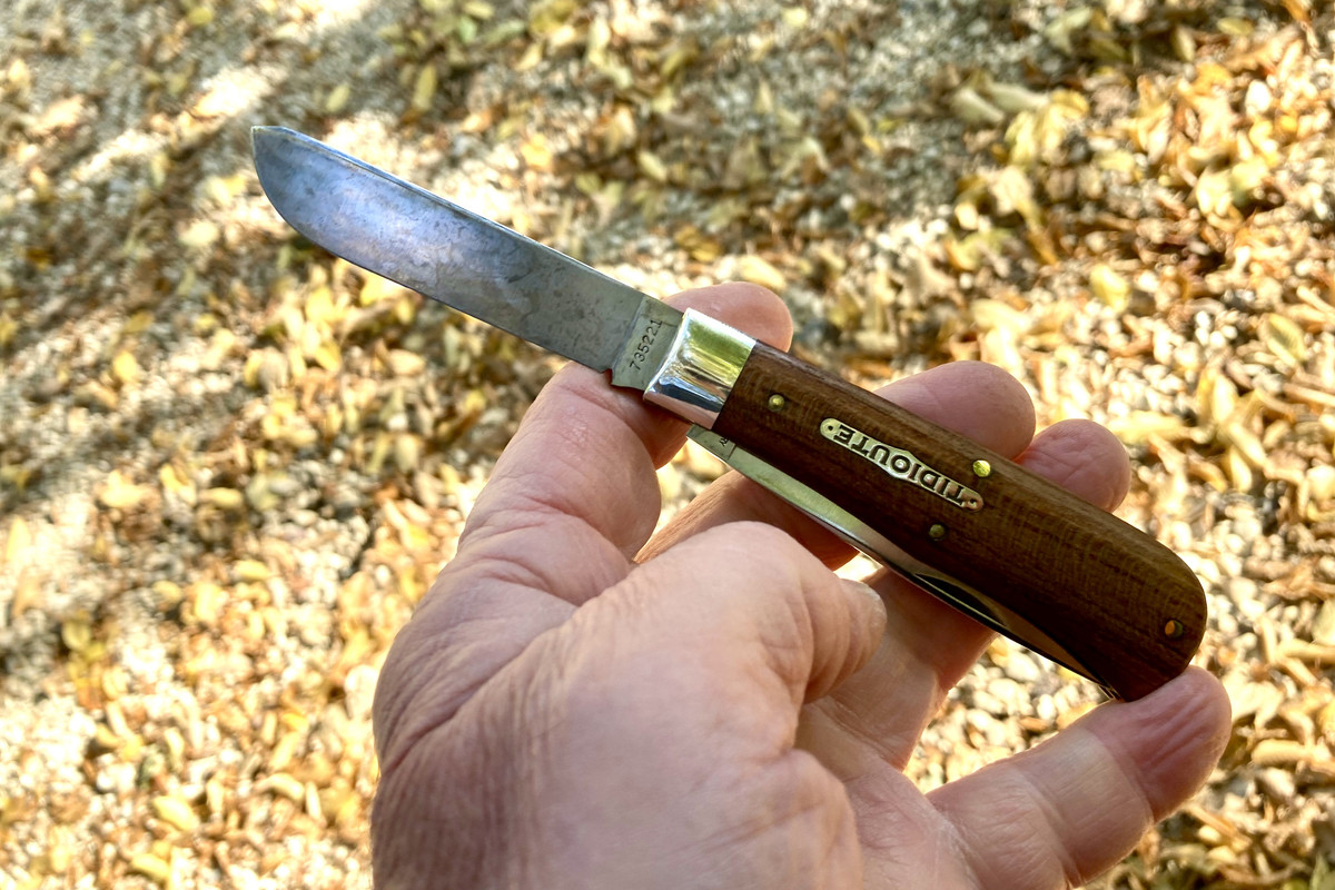 DB7C4CC6-6BEB-49C1-9C8A-778555085543