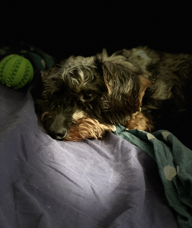 [Image: IMG-0451.jpg]