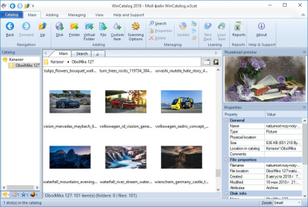 WinCatalog 2019 19.4.0.113 Multilingual