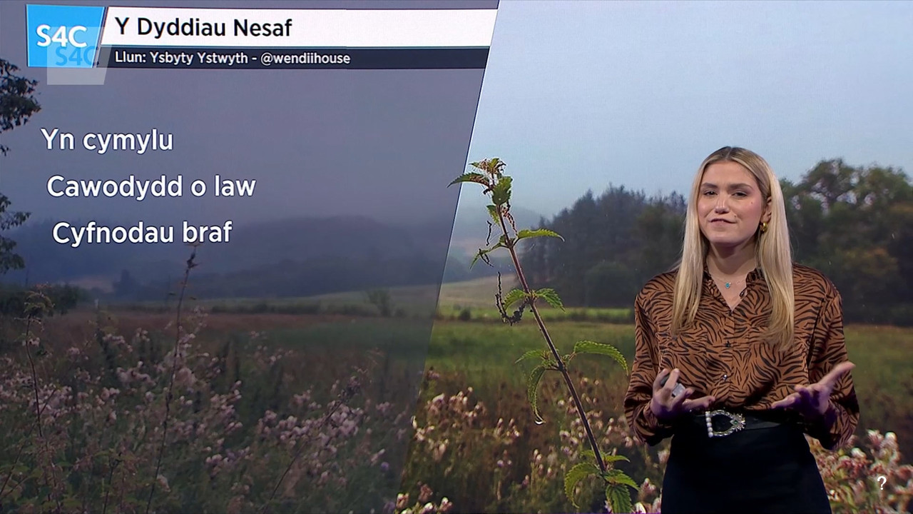 08.22 - 19.30.00 - Newyddion S4C. Newyddion S4C a'r Tywydd. S4C News ....ts_snapshot_33.03.489