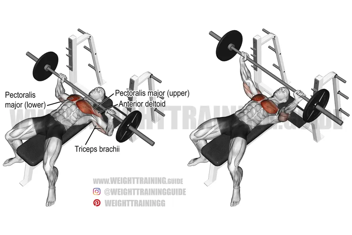 Barbell Bench Press