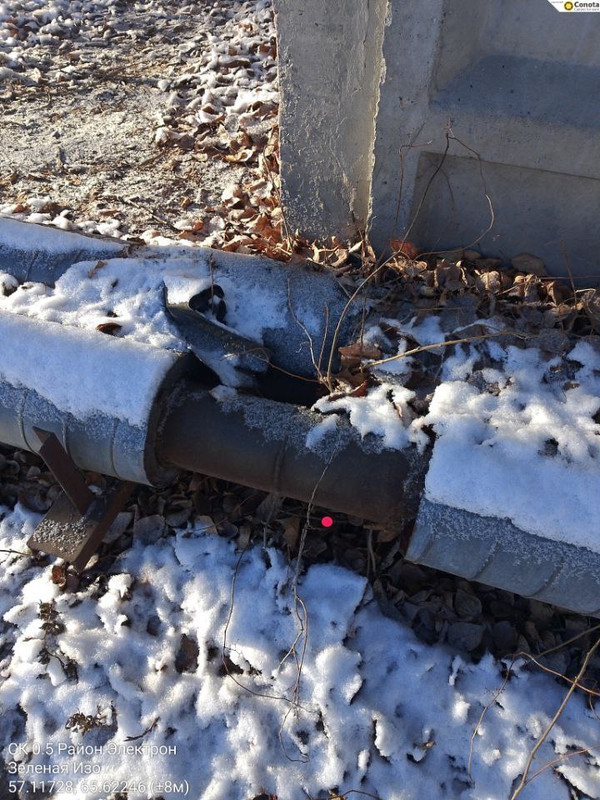 photo 2025 11 03 10 01 40