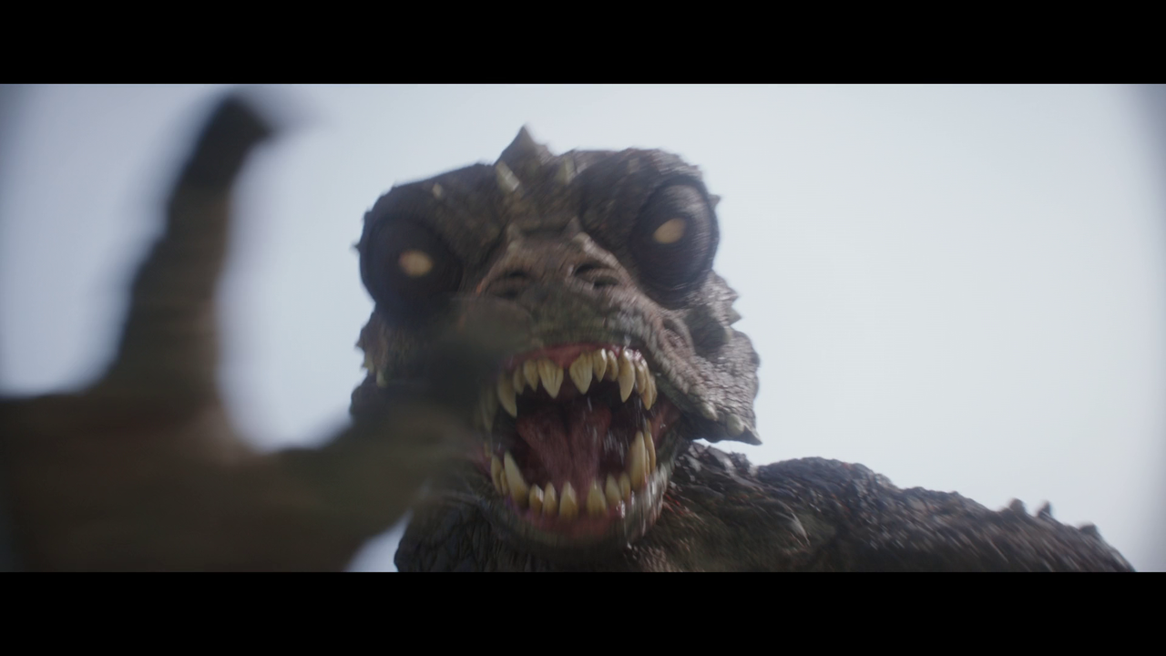 vlcsnap-2021-12-29-16h22m00s331