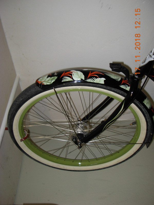 0-Olgicin-bike-4.jpg