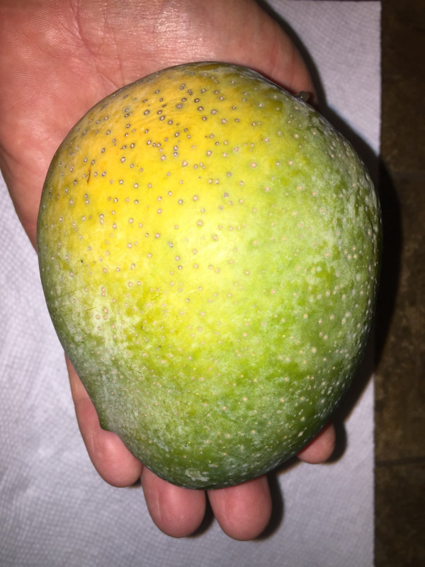 E5836720-F8C3-4044-BC79-F80613ACA418