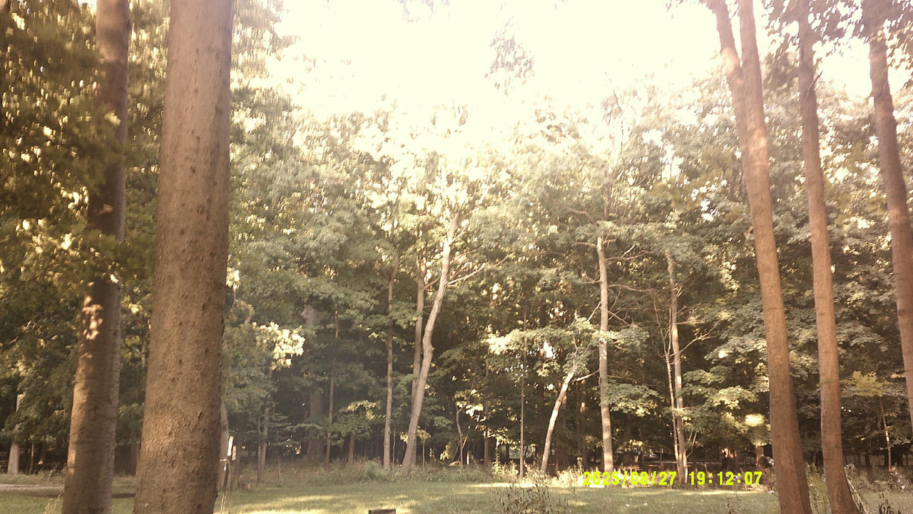 a green gradient