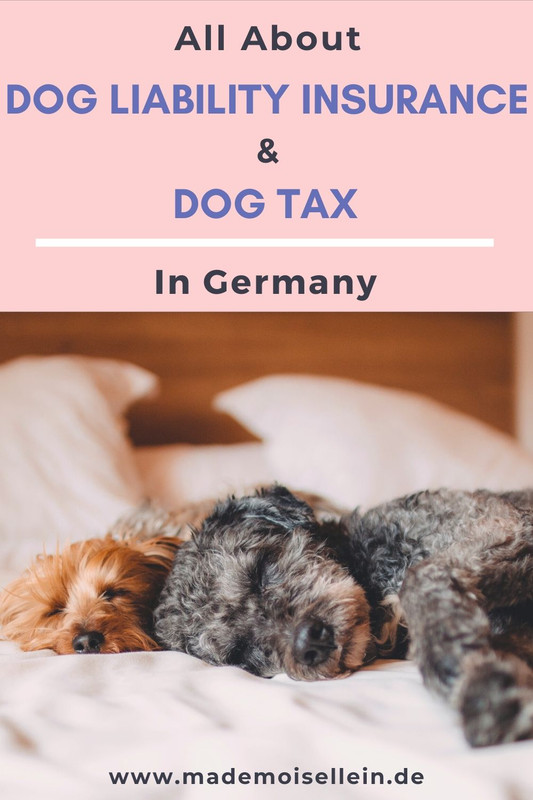 dog tax in Germany 