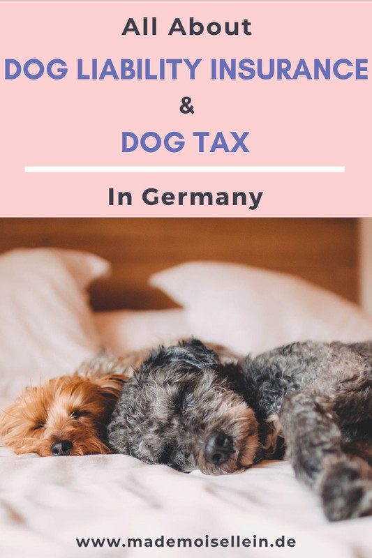 how much is dog tax in germany