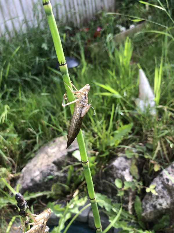 9C59CF44-597B-40F8-B162-CA541660F73B