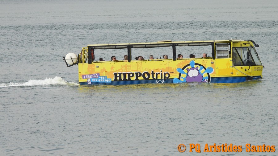 505710194-2426572744391569-5785262253321565934-n