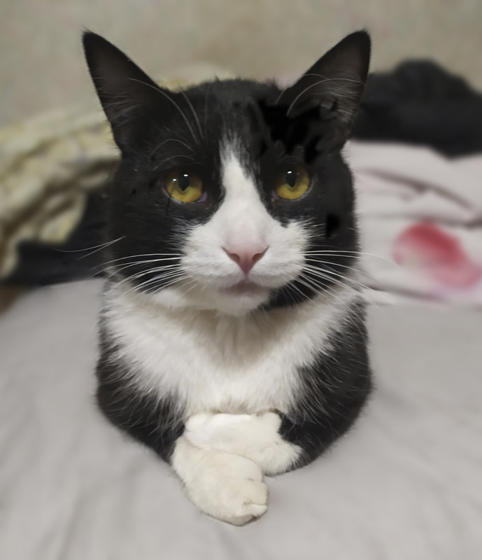 изображение_viber_2021-01-18_15-31-45