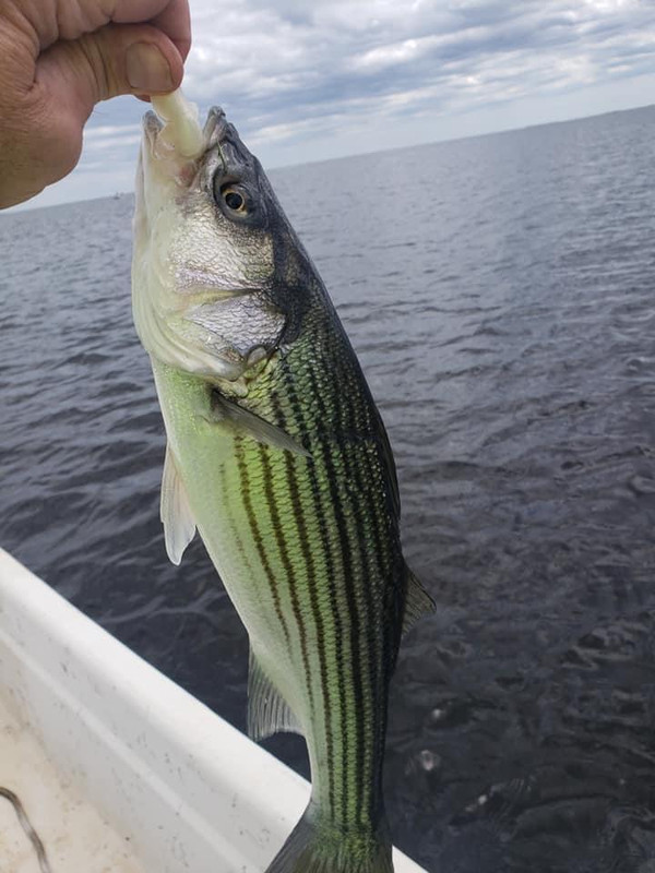 E115F5FE-CDD9-47BD-A66E-BB8ACF0E88F6