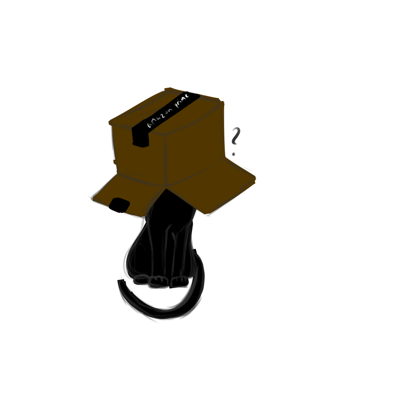 July-2020.png