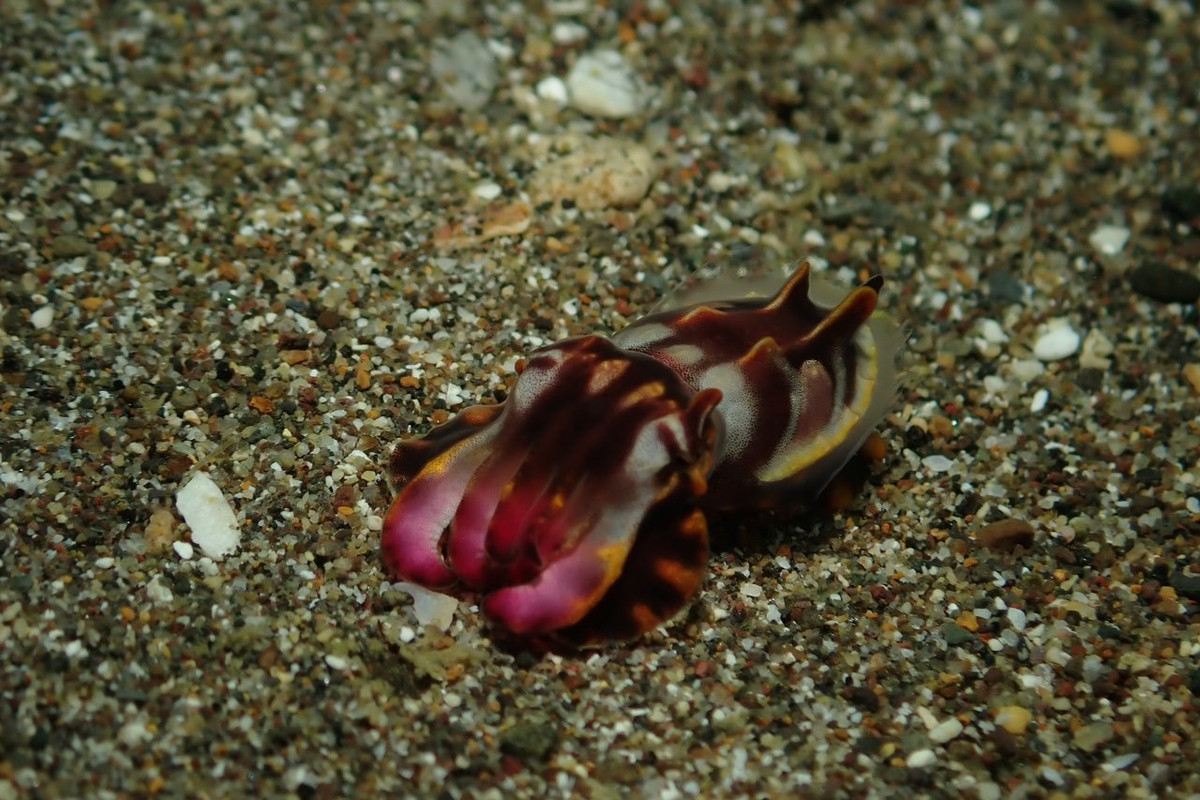 E358E56D-E5EC-4F3F-9AA7-4E854BC2C4DF