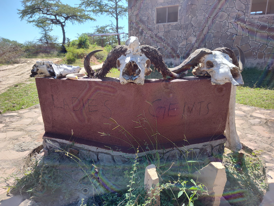 IMG_20250614_104205277_HDR