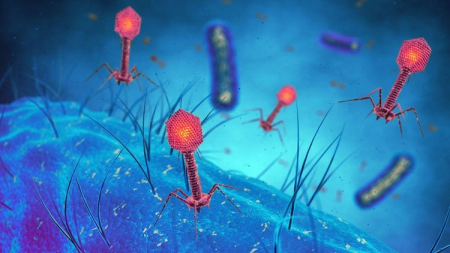 Medical Microbiology: Virology (Part 2)