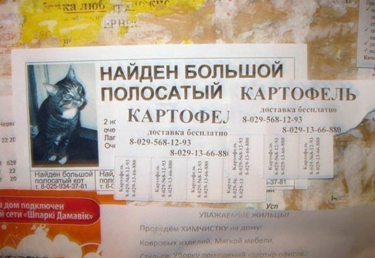 15 смешных табличек и надписей, которые точно зарядят вас позитивом