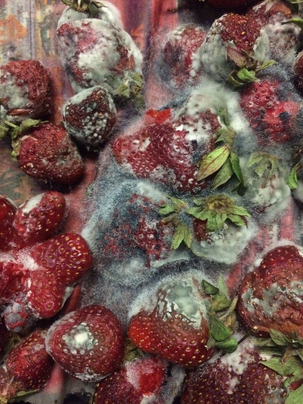 19283a91e9ac2cd161ade69e9f2efdcb