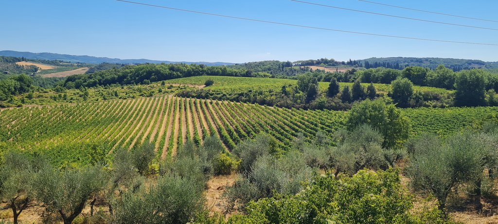 La Toscana 2022: entre termas y cipreses - Blogs de Italia - Valle De Chianti, un domingo entre viñedos (1)