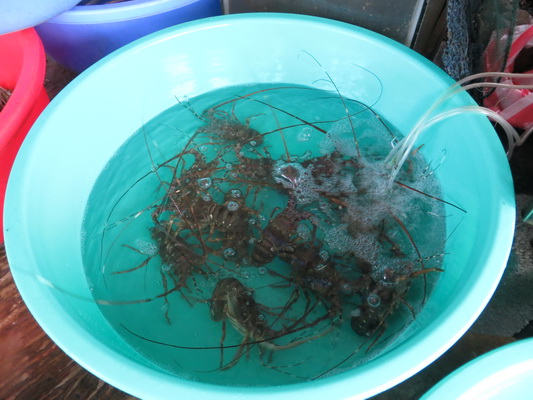 [Image: IMG-6366.jpg]