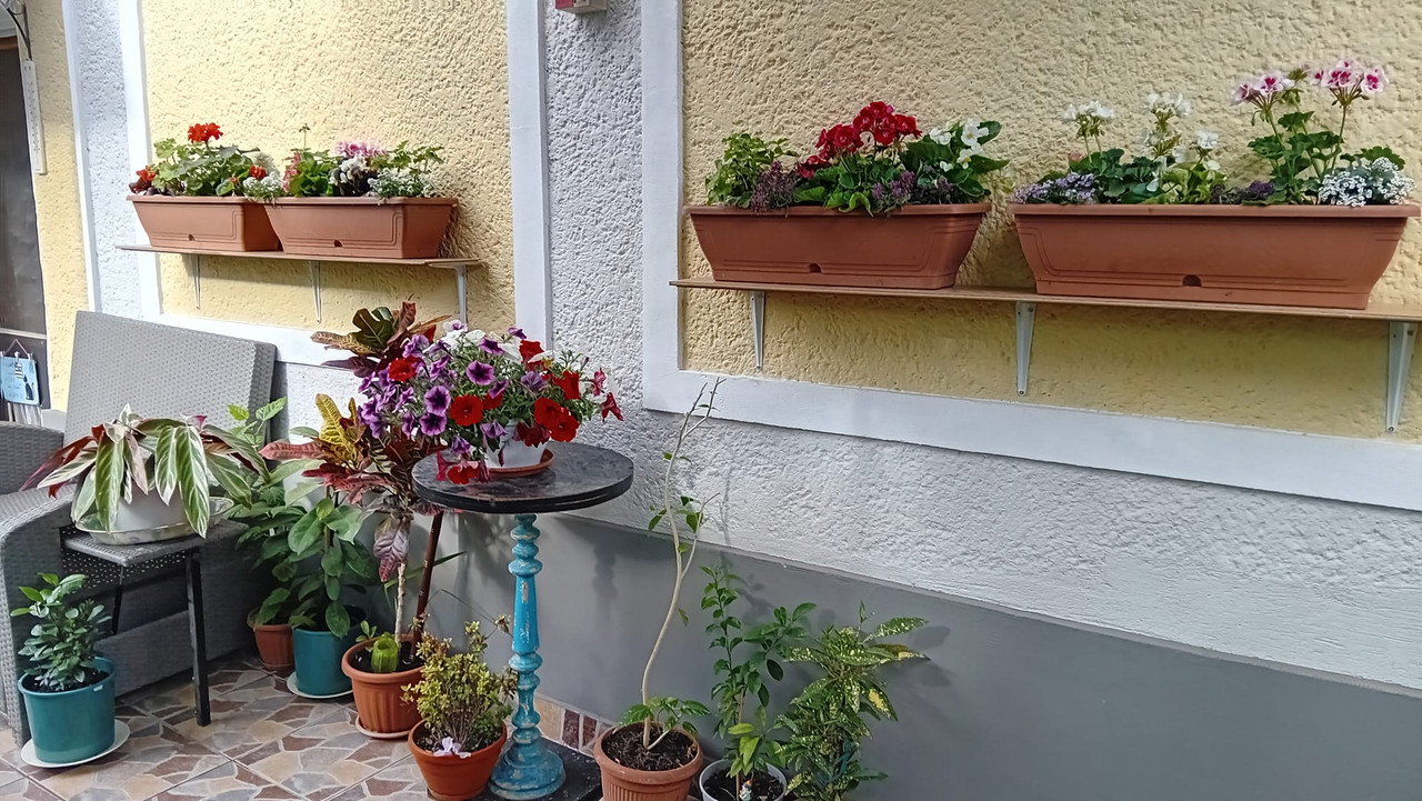 440939519_10228550608767604_5977781285671559811_n