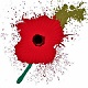 [Image: Poppy-smaller.jpg]