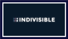 indivisable-blue-border-222