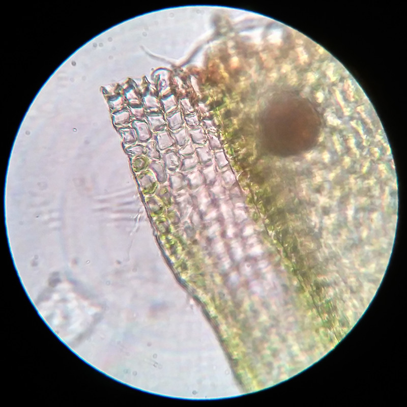 IMG 20250615 221200 HDR