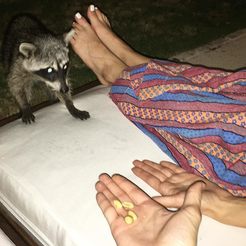 Willa-Holland-Feet-2218696